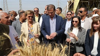 وزير الزراعة: 600 ألف فدان زيادة في مساحات زراعة القمح.. وارتفاع نسبة الاكتفاء الذاتي إلى 70% بحلول 2030 