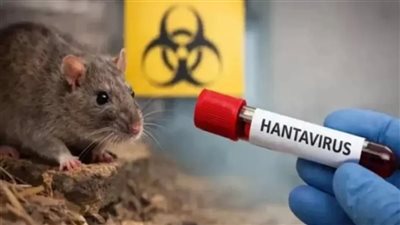هولندا تعزل 12 موظفًا بعد مخالفة بروتوكول التعامل مع فيروس هانتا