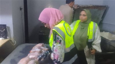 ضبط لحوم فاسدة وسناكس مجهولة المصدر داخل منشآت غير مرخصة بالأقصر