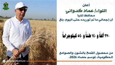 محافظ المنيا: توريد القمح يتخطى 270 ألف طن منذ انطلاق موسم 2026