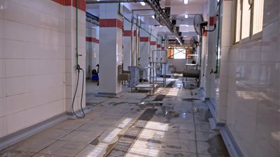 إلغاء الإجازات وإتاحة المجازر.. طب بيطري الإسكندرية تواصل استعدادات عيد الأضحى