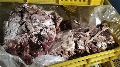 ضبط 3 أطنان لحوم ودواجن فاسدة داخل منشآت غذائية ببورسعيد