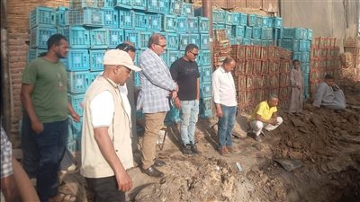 رئيس مدينة إسنا يتابع ميدانيا جهود إصلاح خط الصرف الصحي لسرعة إعادة المياه للمواطنين