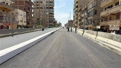 كوبري الباجور    