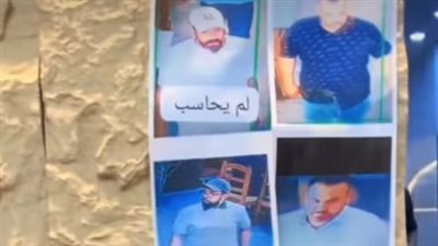 الفيديو    