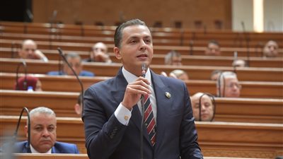 النائب أحمد عبد الجواد: مصر وليبيا وطن واحد.. ووحدة الأراضي الليبية خط أحمر