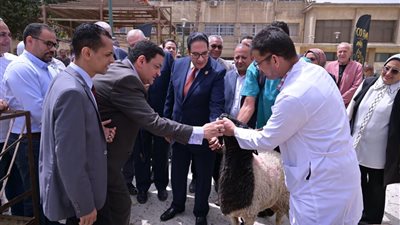 رئيس جامعة القاهرة يوجه بتوفير اللحوم والأضاحي بأسعار مخفضة لأعضاء هيئة التدريس والهيئة المعاونة والعاملين بمناسبة عيد الأضحى
