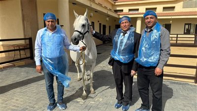 رئيس الحجر الأردني يتفقد إجراءات تصدير الخيول المصرية.. ويؤكد: تتمتع بسمعة متميزة عالميًا