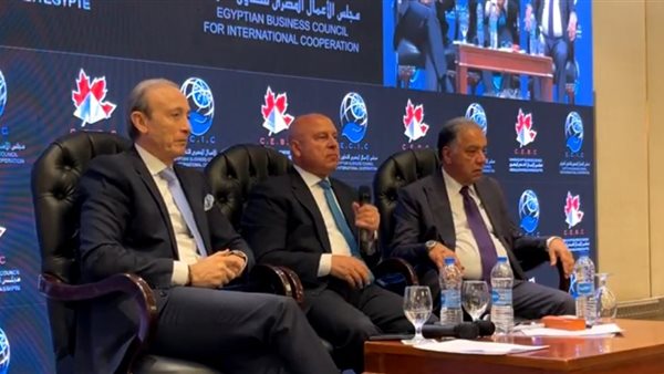 كامل الوزير: إشراك القطاع الخاص في السكك الحديدية أنقذ نقل البضائع ورفع كفاءة عربات النوم