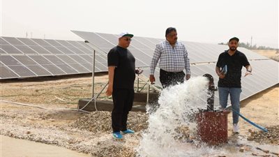 انطلاق مشروع الواحات الخضراء بالوادي الجديد