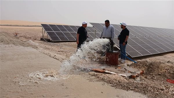 إطلاق مشروع "الواحات الخضراء" بالطاقة الشمسية في الوادى الجديد