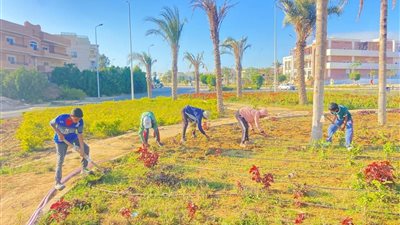  مدينة الشيخ زايد تتزين بالأخضر استعدادًا لعيد الأضحى برفع كفاءة الحدائق 