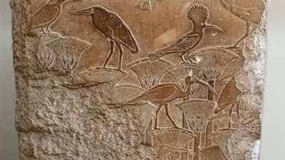 القطعة الأثرية     