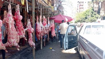 رئيس حي غرب الإسكندرية تكثف حملاتها للتفتيش على شوادر ومحال الجزارة قبل عيد الأضحى