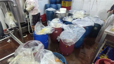 ضبط وإعدام نحو 11 طن مواد غذائية فاسدة خلال حملات لإحياء محافظة الإسكندرية