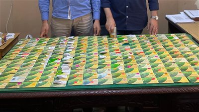 تموين الإسكندرية تضبط 247 بطاقة تموينية بأحد المخابز البلدية