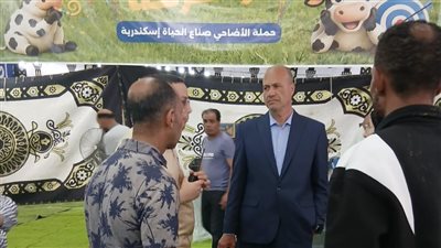 طب بيطري الإسكندرية: جميع المجازر تعمل بكامل طاقتها خلال العيد