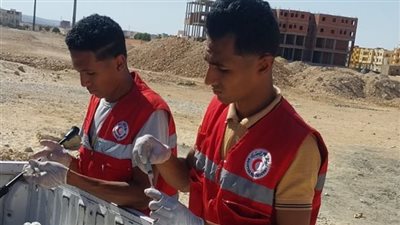 بعد ضبط 21 كلبًا ضالًا.. بيطري قنا: الشيلتر مكان مؤقت لجمع الكلاب تمهيدًا لعملية التطهير والتعقيم