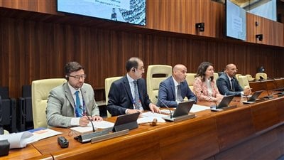 مصر تقود التنسيق العربي في جنيف.. وزير العمل يرأس اجتماعات المجموعة العربية قبل مؤتمر العمل الدولي