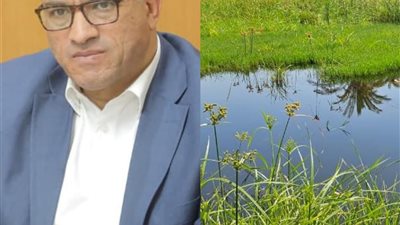 محافظ قنا: إعفاء مزارعي أراضي طرح النهر من الإيجارات خلال فترة الغمر