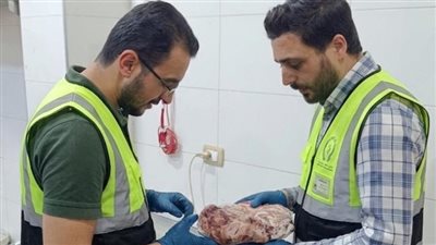 ضبط نصف طن من اللحوم والحمام الفاسد خلال حملات مكثفة لسلامة الغذاء في الغربية