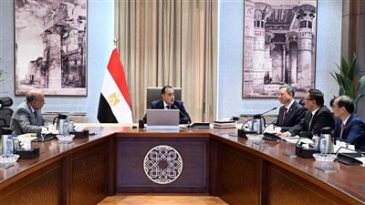 مدبولي يلتقي رئيس شركة الصين لهندسة الطاقة المحدودة لبحث سبل التعاون المشترك