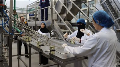 تفاصيل افتتاح المركز الخدمي التعليمي لسلسلة قيمة الطماطم بـ زراعة الإسكندرية