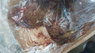 ضبط ربع طن لحوم ودجاج غير صالحة للاستهلاك الآدمي في سوهاج