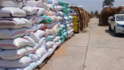 سوهاج تعلن ختام موسم توريد القمح واكتمال السعات التخزينية بالصوامع بـ 190 ألف طن