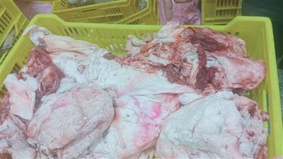 ضبط 3 أطنان لحوم مفرومة ودهون حيوانية مجهولة المصدر في شبين القناطر بالقليوبية