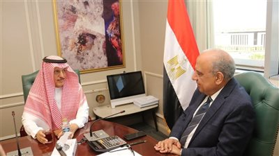2300 ميجاوات رياح جديدة.. تعاون مصري سعودي لتعزيز الطاقة النظيفة