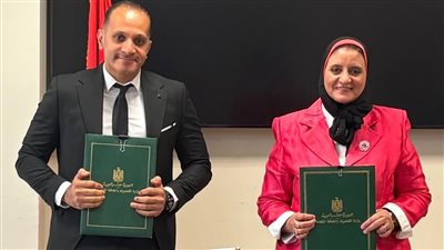 المصرية لنقل الكهرباء تعلن بدء تحديث منظومة نقل بيانات محطات الشبكة القومية الموحدة