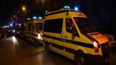 مصرع شخص وإصابة 3 آخرين في حادث انقلاب تروسيكل بكفر الشيخ