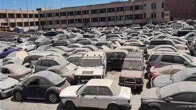 35 مليونًا و569 ألف جنيه حصيلة البيع بجلسة مزاد 20 أغسطس 2026 لبضائع جمارك السخنة والسويس وبورسعيد