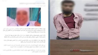 طعنها في رقبتها.. إحالة صاحب جراج للمحاكمة الجنائية بتهمة قتل منادية سيارات في باب الشعرية 