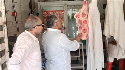 ضبط دواجن غير صالحة للاستهلاك الآدمي بالحي السادس في العاشر من رمضان