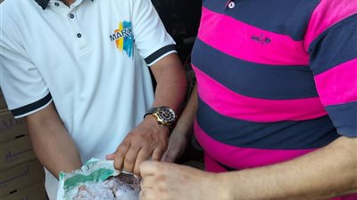 محافظ الدقهلية يتابع حملات الطب البيطري.. ضبط 600 كيلو أسماك ودجاج ولحوم غير صالحة للاستهلاك