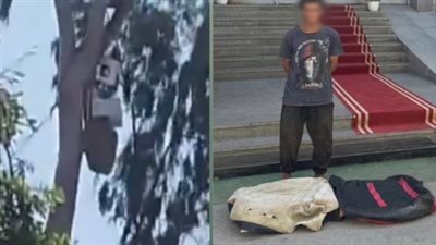 هربًا من ملاحقة الشرطة.. القبض على متسول أنشأ عشة أعلى شجرة في الإسماعيلية