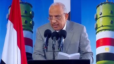 وزير الكهرباء: محطة الضبعة ركيزة لاستقرار الشبكة القومية وتأمين أمن الطاقة للأجيال المقبلة