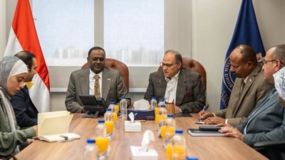 الغمراوي يبحث مع الأمين العام للمجلس القومي للأدوية والسموم بالسودان تعزيز التعاون المشترك
