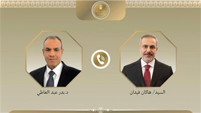 تحرك مصري تركي لاحتواء التصعيد.. وزير الخارجية ونظيره التركي يدعوان لاستعادة المسار التفاوضي بين إيران وأمريكا