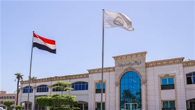 هيئة ميناء دمياط تصدر قواعد جديدة لتوصيل الكهرباء وإعادة تسعير الخدمات