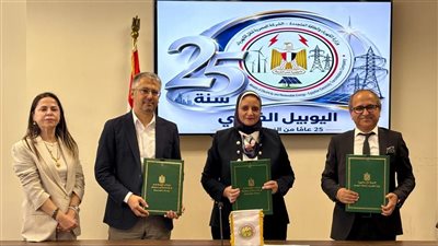 المصرية لنقل الكهرباء توقع عقدا مع تحالف تركي لتنفيذ خط نقل كهربائي بخليج السويس