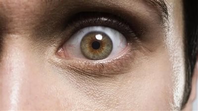 سبب اتساع حدقة العين عند المفاجآت.. دراسة تكشف كيف يعيد الدماغ توقعاته
