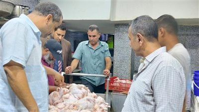 تموين المنيا: تحرير 272 مخالفة وضبط 37 طن سكر ودقيق وأعلاف مجهولة المصدر