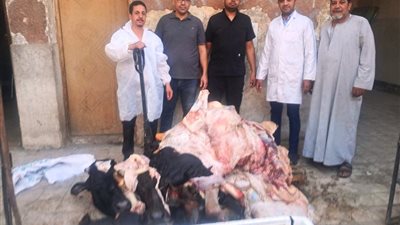 ضبط أكثر من طن لحوم غير صالحة للاستهلاك الآدمي بسوق الهجارسة بالكوامل في سوهاج