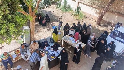 ضمن باب أمل.. الطب البيطري بسوهاج يسلم 3336 رأس أغنام للمواطنين