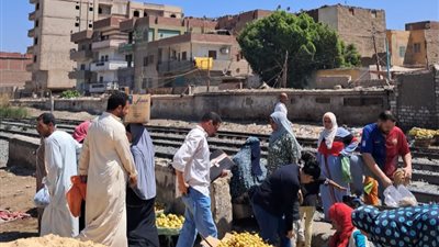 بعد نشر القاهرة 24.. محافظ المنيا يوجه بغلق كوبري سمالوط القديم ومنع العبور على شريط السكة الحديد