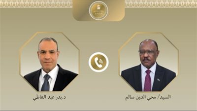 وزير الخارجية يؤكد لنظيره السوداني موقف القاهرة الداعم لوحدة الخرطوم ورفض أي محاولات لتقسيم البلاد