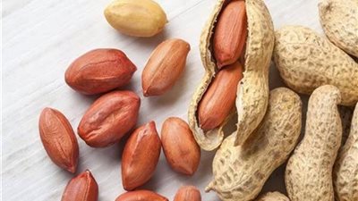 أطعمة تساعد على فقدان الوزن خلال فصل الشتاء أبرزها الفول السوداني